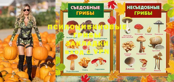 метадон Белокуриха