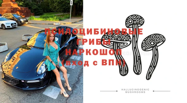 бошки Балахна