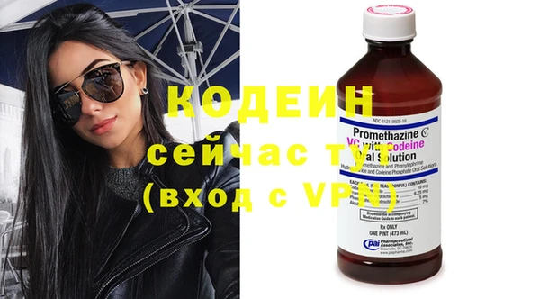 прущие грибы Саяногорск