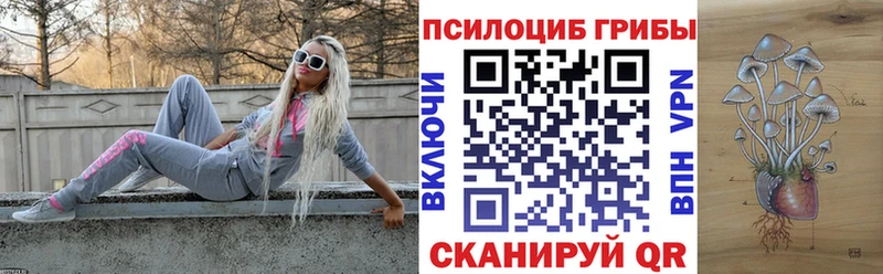 Псилоцибиновые грибы MAGIC MUSHROOMS  купить наркотик  hydra ссылки  Чкаловск 